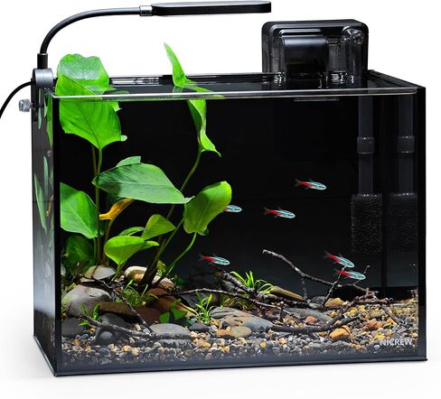NICREW 2.5 Gallon Nano Nature Aquarium Kit Betta Fish Tank, Complete, Black in Saudi Arabia