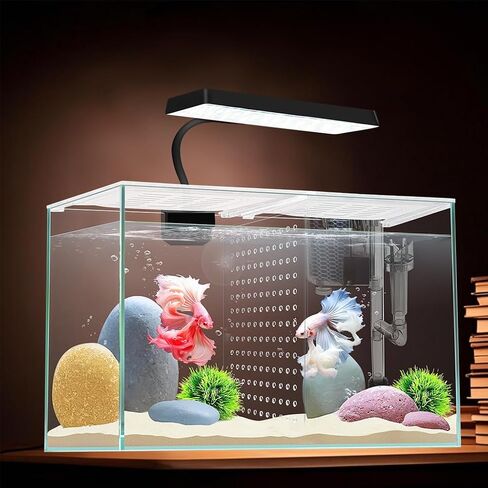 3 Gallon 12.6" L Fish Nano Glass Aquarium, with Separator Plate for Betta, Multi-Functional Square Fish Tank with Filter, LED Light, Black 4mm Glass in Kuwait
