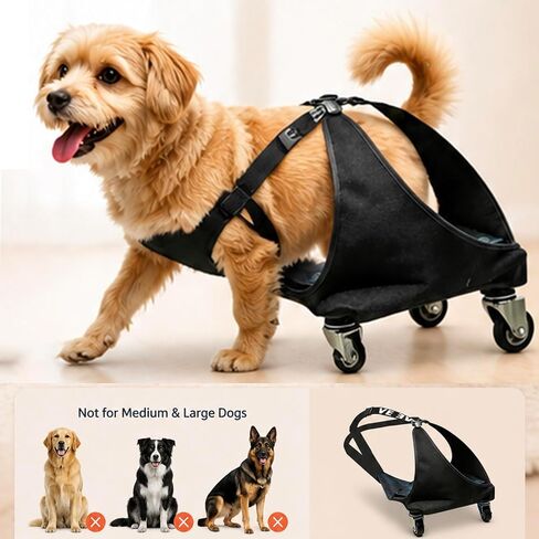 Small Dog or Cat Wheelchair for Back Legs, Small in Saudi Arabia