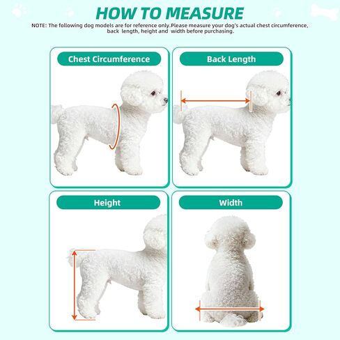 Small Dog or Cat Wheelchair for Back Legs, Small in Saudi Arabia