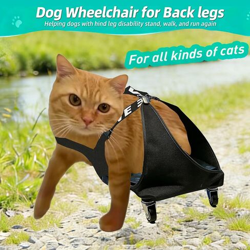 Small Dog or Cat Wheelchair for Back Legs, Small in Saudi Arabia