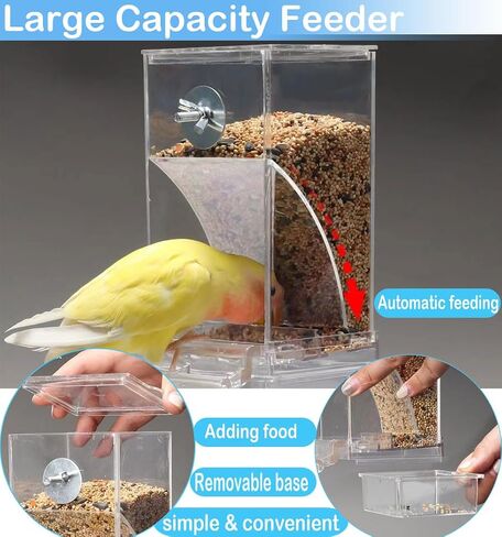 Bird Parrot Feeders, No Mess Automatic Cage Feeder Dispenser Food Container, Auto Bird Seed Bowl for Small Medium Birds, Cockatiel Canary Cockatoos Parakeet Conure Lovebird, Acrylic Clear (Feeder) in Kuwait