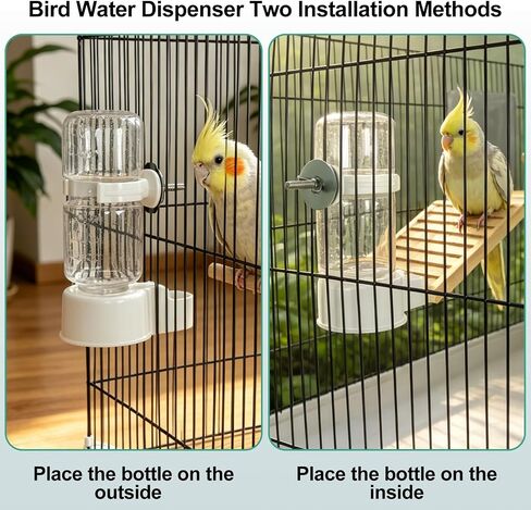 Bird Water Dispenser Plastic Bird Cage Hanging Drinking Device in Kuwait