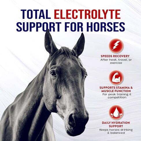 Horse Electrolytes Powder, Tasty Equine Hydration, Just Add to Water, Crisp Apple Flavor, 5 Pound Bag, Made in the USA in Kuwait