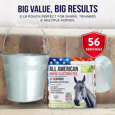 Horse Electrolytes Powder, Tasty Equine Hydration, Just Add to Water, Crisp Apple Flavor, 5 Pound Bag, Made in the USA in Kuwait