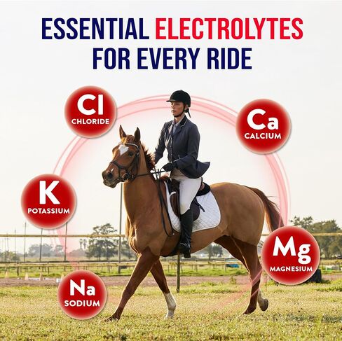 Horse Electrolytes Powder, Tasty Equine Hydration, Just Add to Water, Crisp Apple Flavor, 5 Pound Bag, Made in the USA in Kuwait