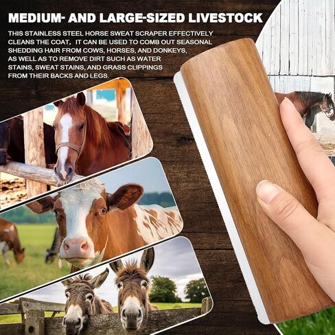 MAXIMILIAN Professional Large Wooden Horse Deshedding Brush 7.87in/20cm in Kuwait