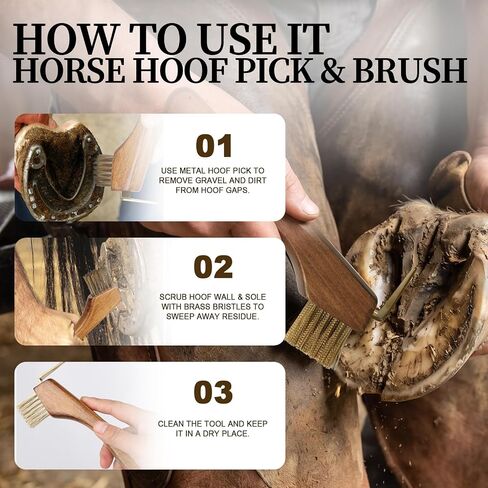 MAXIMILIAN 2-in-1 Solid Wood Horse Hoop Pick with Brush in Kuwait