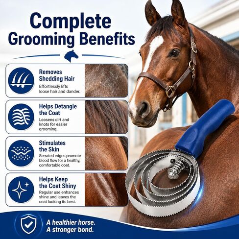 2-Pack Reversible Curry Combs for Horses and Pets, Stainless Steel in Kuwait