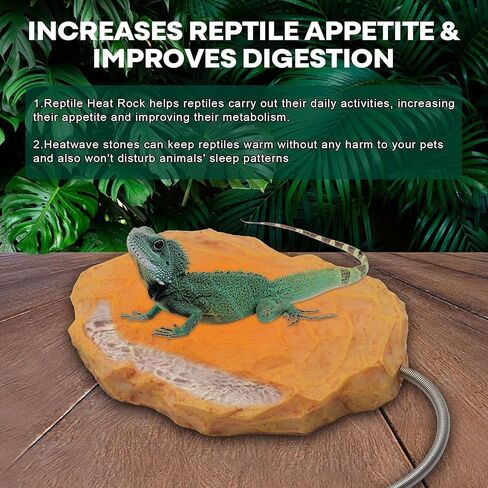 Heat Rocks for Reptiles Heat Rock with Feeding Trough & Temperature Control in Kuwait