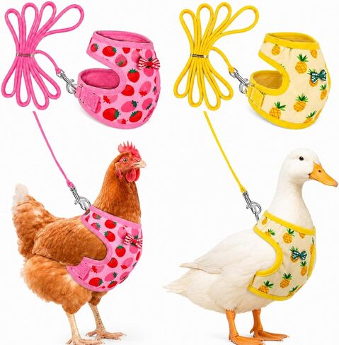 Frienda 2 Pcs Medium Chicken Duck Harness and Leash, Pineapple Strawberry in Kuwait