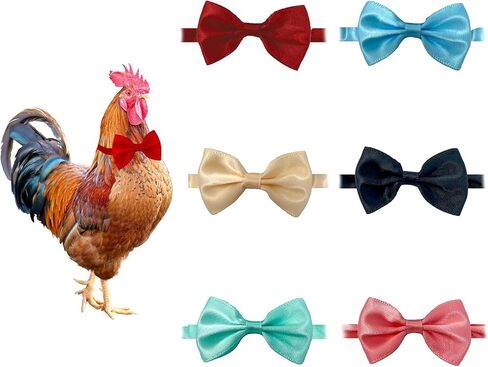 6-Pack Bow Ties for Chickens, Birds, Hamsters & Small Animals in Kuwait