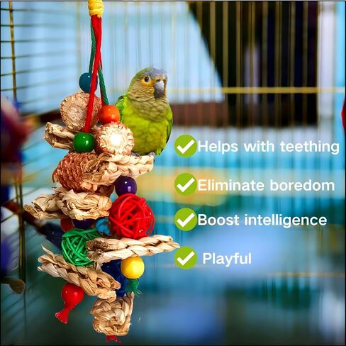 2pcs Bird Toys for Parakeets,Parrot Cage Chewing Hanging Toy in Kuwait