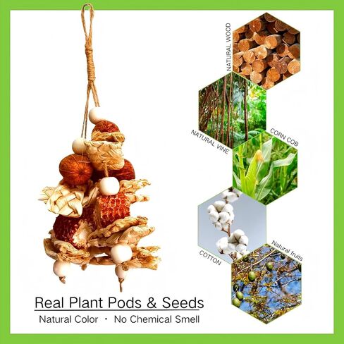 2pcs Bird Toys for Parakeets,Parrot Cage Chewing Hanging Toy in Kuwait