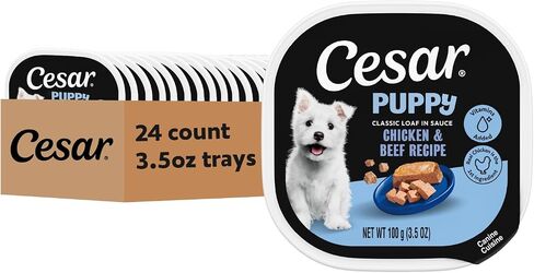 Cesar Puppy Loaf and Filets Wet Dog Food, Variety, 3.5 oz, 12 Count, 2-Pack in Saudi Arabia