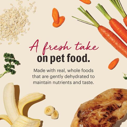 The Honest Kitchen Wholemade Whole Grain Chicken Recipe, Human Grade Dehydrated Dog Food, Just Add Water, Supports Digestion, Skin & Coat, Topper for Dry or Wet Dog Food, 10 lb Box Makes 40 lbs in Saudi Arabia