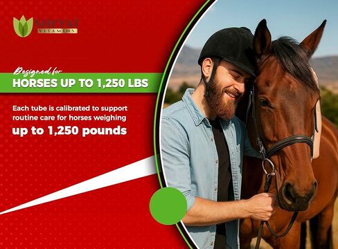 Ivermectin Horse Paste 1.87% – Apple Flavored – 6.08g Tube – for Horses Up to 1250 lb - 1 Pack in Saudi Arabia
