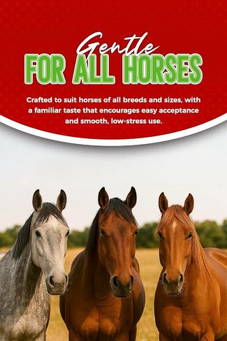 Ivermectin Horse Paste 1.87% – Apple Flavored – 6.08g Tube – for Horses Up to 1250 lb - 1 Pack in Saudi Arabia