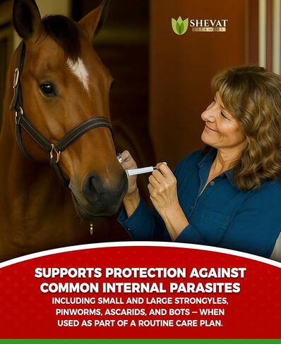 Ivermectin Horse Paste 1.87% – Apple Flavored – 6.08g Tube – for Horses Up to 1250 lb - 1 Pack in Saudi Arabia