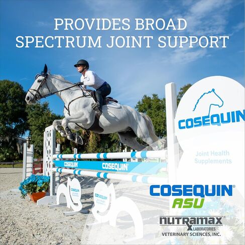 Nutramax Cosequin ASU Joint Health Supplement for Horses - Powder with Glucosamine, Chondroitin, ASU, and MSM, 500 Grams in Kuwait