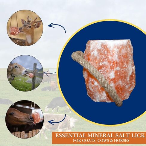 Spantik 6 lbs Himalayan Salt Lick on Rope for Horse, Cow, Goat, Sheep, Deer and Livestock Animals - 2 Pack in Saudi Arabia