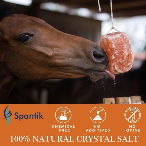 Spantik 6 lbs Himalayan Salt Lick on Rope for Horse, Cow, Goat, Sheep, Deer and Livestock Animals - 2 Pack in Saudi Arabia