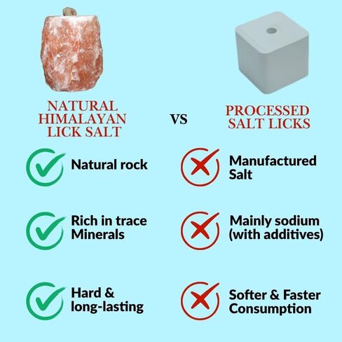 Spantik 6 lbs Himalayan Salt Lick on Rope for Horse, Cow, Goat, Sheep, Deer and Livestock Animals - 2 Pack in Saudi Arabia
