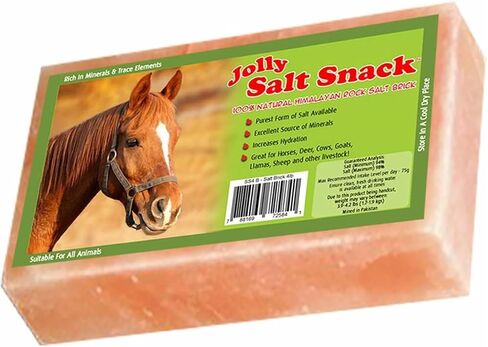 Horsemen's Pride Himalayan Salt Block on Rope for Horses, 4.4 Pounds, SS44 in Saudi Arabia