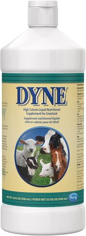 PetAg Dyne High Calorie Liquid Nutritional Supplement for Livestock - 32 oz - Includes Added Vitamins - Excellent for Underweight, Stressed, or Recovering Animals in Kuwait