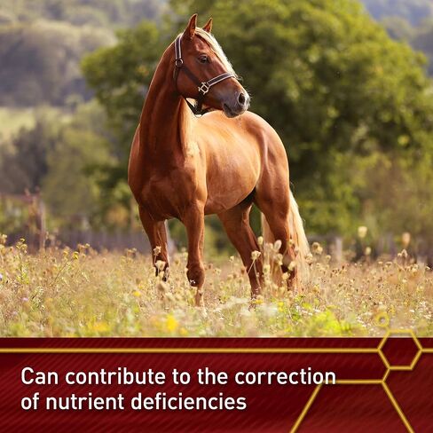 Vita Flex Pro E & Selenium Supplement for Horses, 64-Day Supply in Kuwait