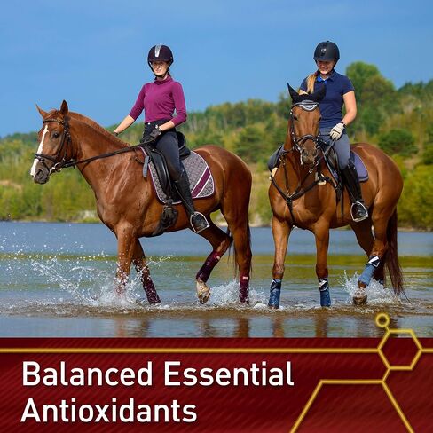 Vita Flex Pro E & Selenium Supplement for Horses, 64-Day Supply in Kuwait