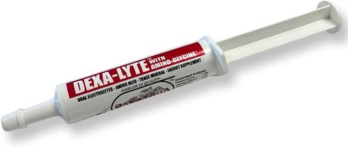 Dexa-Lyte Horse Energy Boost Premium Electrolyte & Amino Acid Energy Boost in Saudi Arabia