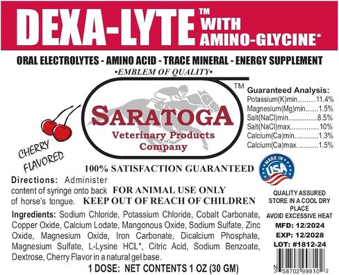 Dexa-Lyte Horse Energy Boost Premium Electrolyte & Amino Acid Energy Boost in Saudi Arabia