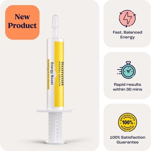 Energy Boost for Horse 3 Doses in Kuwait