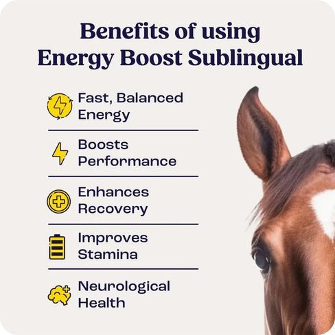 Energy Boost for Horse 3 Doses in Kuwait