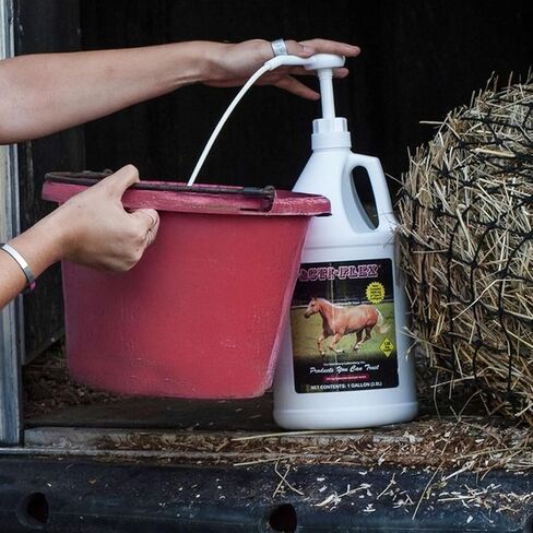 Cox Vet Labs Acti-Flex Liquid Joint Supplement for Horses - Quart & Gallon Combo in Saudi Arabia