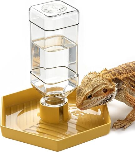 Reptile Water Dispenser Bowl for Bearded Dragon Tortoise in Kuwait
