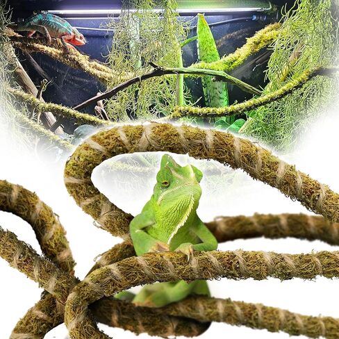 Duspro Reptile Decor Set, 10FT Bendable Vine & 4 Oz Dried Forest Moss in Kuwait