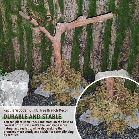 BNOSDM Reptile Grapevine Wood Lizard Natural Wood Climb Tree Branch Decor in Kuwait