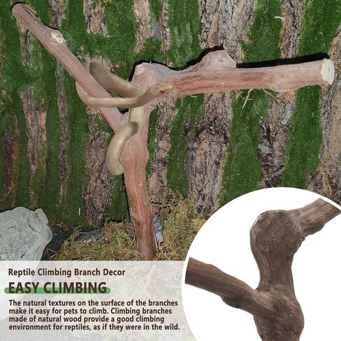 BNOSDM Reptile Grapevine Wood Lizard Natural Wood Climb Tree Branch Decor in Kuwait