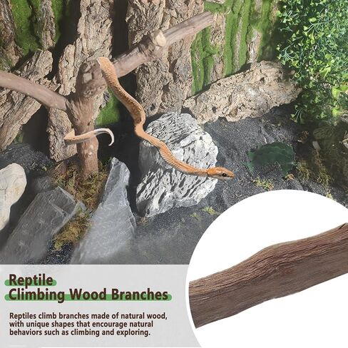 BNOSDM Reptile Grapevine Wood Lizard Natural Wood Climb Tree Branch Decor in Kuwait