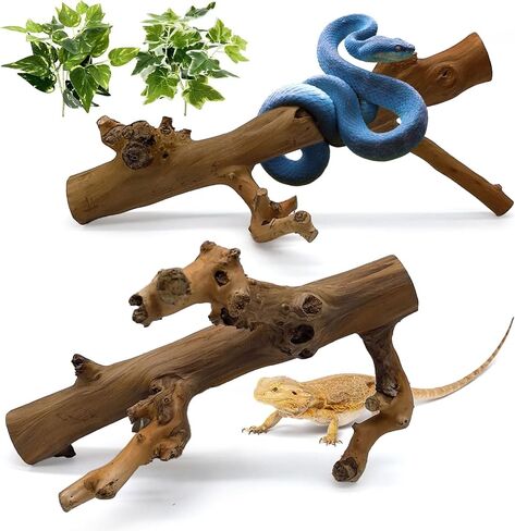 كاثسون 2pcs فرع تسلق الأفعى ، ديكور فروع الخشب الزواحف ، إكسسوارات تسلق الخشب الطبيعي السحلي ، الزواحف زواحف شجرة الخزان الجذع لسلاح التنين Geckos Chameleons الضفدع in Kuwait