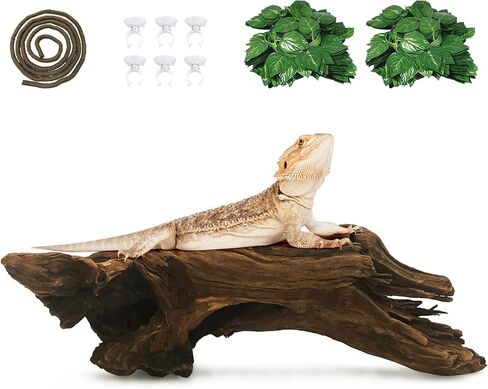 Hamiledyi Large Bearded Dragon Driftwood for Reptile Snake Climbing Branch in Saudi Arabia