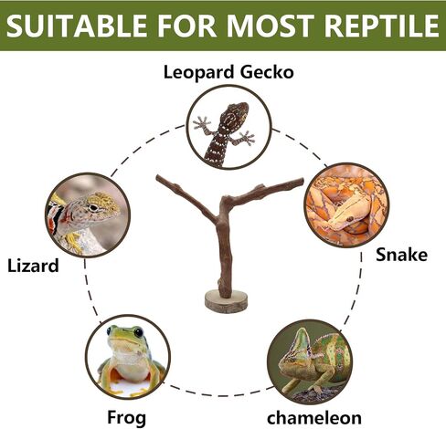 BNOSDM Reptile Grapevine Wood Lizard Natural Wood Climb Tree Branch Decor in Kuwait