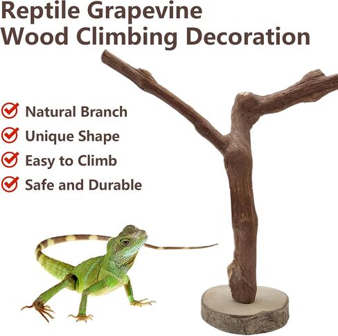 BNOSDM Reptile Grapevine Wood Lizard Natural Wood Climb Tree Branch Decor in Kuwait