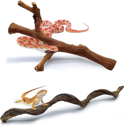 BNOSDM 2PCS Reptile Wood Branches Decor,Lizard Habitat Natural Wood Decoration,Snake Climbing Branch Accessories,Terrarium Tree Trunk Ornament for Bearded Dragon Gecko Frog Chameleon Spider in Kuwait