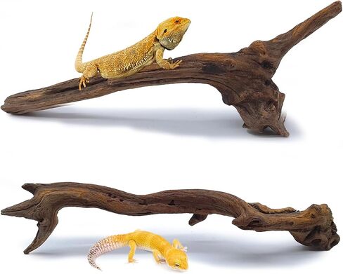 BNOSDM 2PCS Reptile Wood Branches Decor,Lizard Habitat Natural Wood Decoration,Snake Climbing Branch Accessories,Terrarium Tree Trunk Ornament for Bearded Dragon Gecko Frog Chameleon Spider in Kuwait