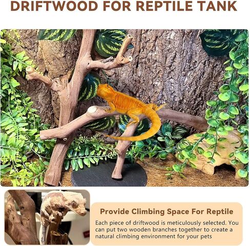 BNOSDM 2PCS Reptile Wood Branches Decor,Lizard Habitat Natural Wood Decoration,Snake Climbing Branch Accessories,Terrarium Tree Trunk Ornament for Bearded Dragon Gecko Frog Chameleon Spider in Kuwait