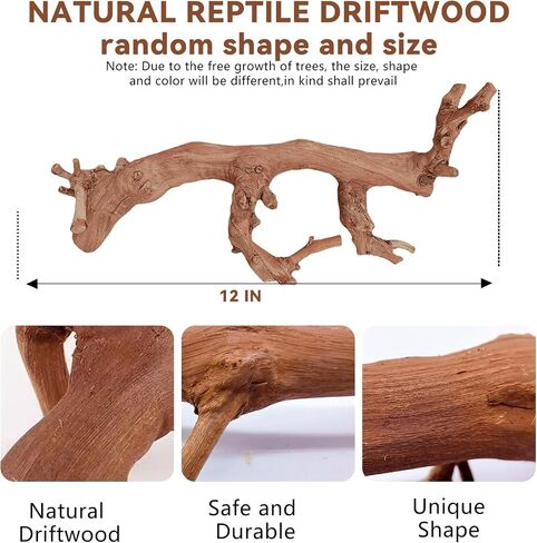 BNOSDM 2PCS Reptile Wood Branches Decor,Lizard Habitat Natural Wood Decoration,Snake Climbing Branch Accessories,Terrarium Tree Trunk Ornament for Bearded Dragon Gecko Frog Chameleon Spider in Kuwait