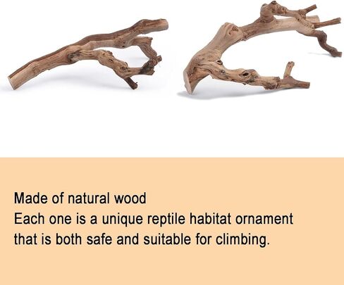 BNOSDM 2PCS Reptile Wood Branches Decor,Lizard Habitat Natural Wood Decoration,Snake Climbing Branch Accessories,Terrarium Tree Trunk Ornament for Bearded Dragon Gecko Frog Chameleon Spider in Kuwait